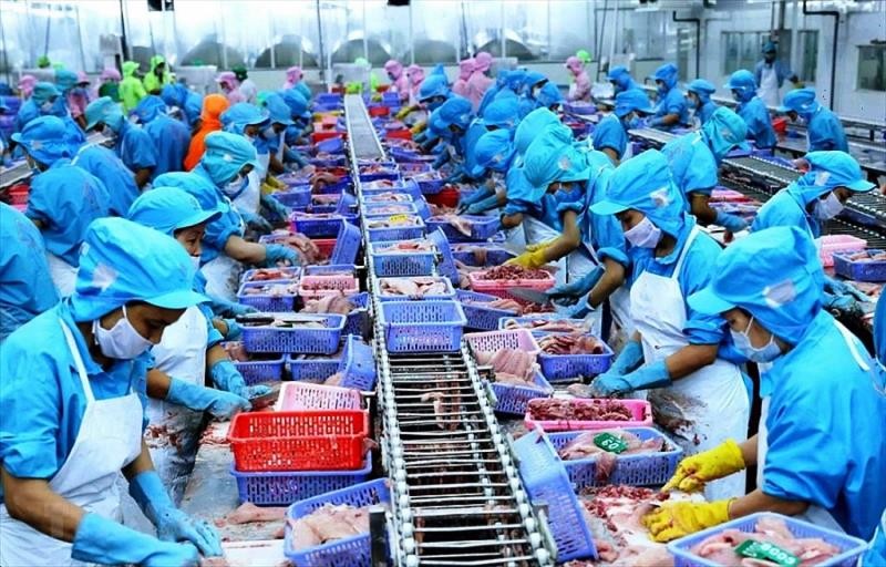 Nhiều mặt hàng xuất khẩu chủ lực của Việt Nam hưởng lợi từ thị trường CPTPP (ảnh minh họa)